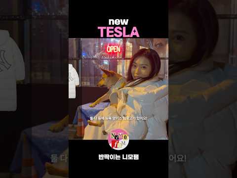 내 친구의 새 차🚙를 소개합니다