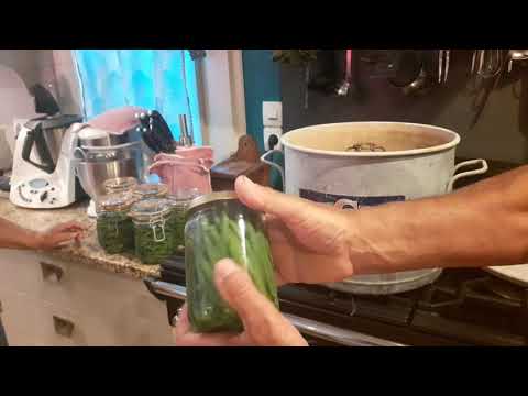 conserves maison de haricots verts