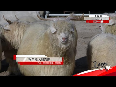 黑土地 20251124：相羊能人翁興順