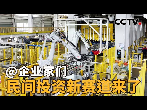“十三条”力挺民间投资,这些领域将率先受益!| CCTV「新闻1+1」20251111