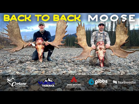 Hunting Giant Yukon Moose  | 12 Days on a Remote River Drift