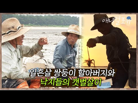 [풀버전] #인간극장 #레전드다큐 I 힘이 짱쎈 낙지들과 힘겨루기하는 74세 쌍둥이 할아버지들의 갯벌살이 I 일흔넷 청춘, 쌍둥이 할아버지 I KBS 인간극장 2010 방송