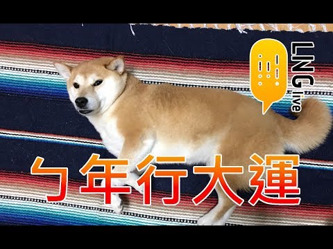 【LNG官方精華】 ㄅ年行大運