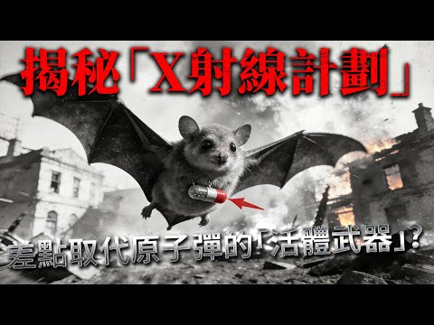 100萬隻蝙蝠毀滅東京?揭秘差點取代原子彈的「活體武器」,被遺忘的「X射線計劃」