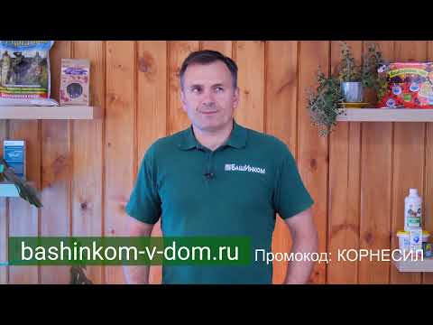 Школа ОЖЗ: Секрет посадки огурцов- урожая в 3 раза больше!