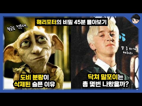 해리포터의 소름 돋는 비밀 TOP30 45분 몰아보기 특집 [빠퀴]