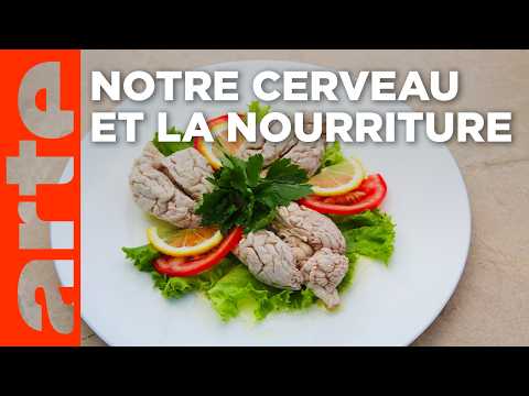 Festin cérébral | La science passe à table (3/3) | ARTE