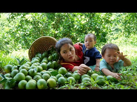 Harvest the orange garden to sell at the market - fish trap to catch fish, cook with your children