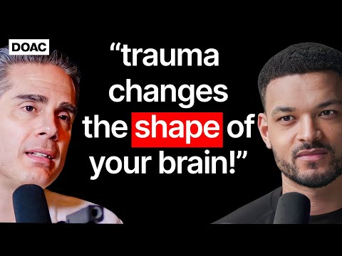 Leading Childhood Trauma Doctor: 10 Lies They Told You About Your Childhood Trauma! - Paul Conti