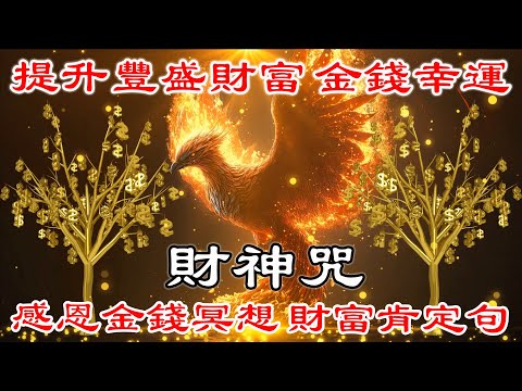 每天聽1遍 💰 改寫潛意識 💰 感恩金錢冥想，財富肯定句，提升豐盛財富、金錢幸運、金錢機會 | 招財音樂 | 财神咒