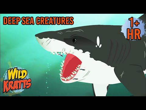 Underwater Adventures π | Sharks, Fish, and Frogs | Adventures with the Kratts | Scholastic Kids
