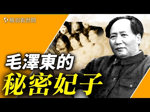秘聞！蕭華為毛選妃，神秘女演員的真實身分；唯一不被江青妒嫉的毛的女人是她！毛的妃子們最後的去向。【歷史真相】｜薇羽看世間 第695期