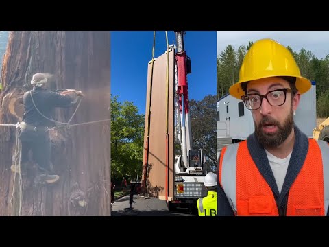 Smart Working Skills | Tricks Experts Swear By✅