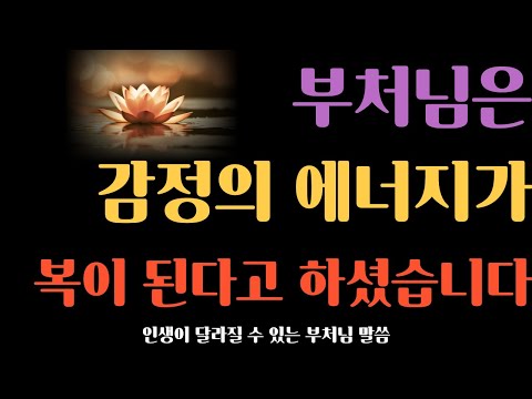 부처님은 ‘감정이 복이 된다’고 하셨습니다ㅣ감정 다루는 사람에게 일어나는 기적