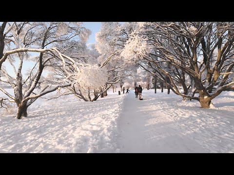 Cold Winter Day Walk in Helsinki, Finland (Kaskisaari to Huopalahti)