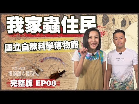 【下課花路米-博物館大驚奇EP8】我家蟲住民－國立自然科學博物館
