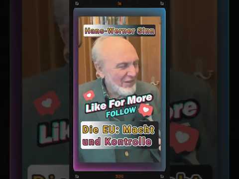 Der Subsidiaritätsgerichtshof Macht und Kontrolle #shortsfeed #geldpolitik #hanswernersinn