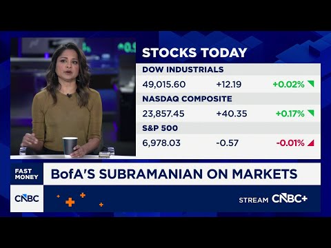 BofA's Savita Subramanian says she sees too much euphoria in a popular market group