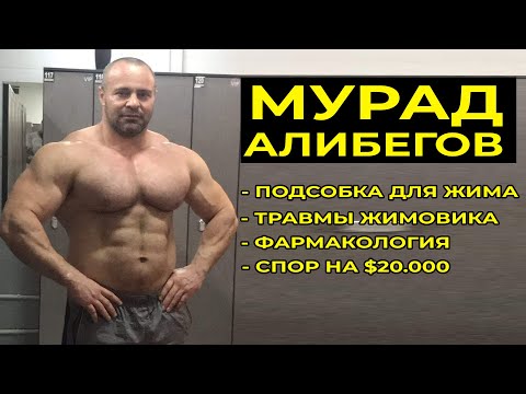 МУРАД АЛИБЕГОВ / ПОДСОБКА, ТРАВМЫ ЖИМОВИКА, ФАРМА, СПОР НА $20.000