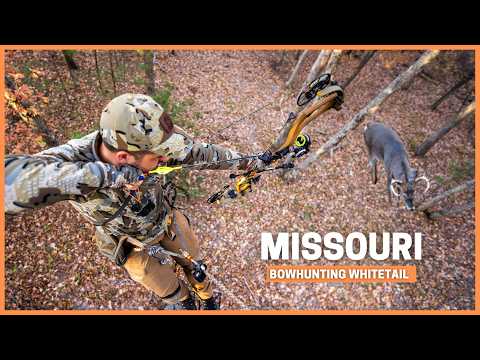 Bowhunting MidWest Whitetails with Brian Call & Mark Livesay: Big buck at 6 yards!