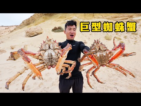 《摩洛哥》第2集：勇闯撒哈拉沙漠，只为挑战大西洋的巨型蜘蛛蟹！#撒哈拉沙漠 #抓龙虾 #非洲 #赶海 #抓螃蟹 #蜘蛛蟹 #outdoors #ocean