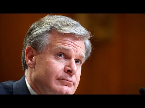 ‘He’s lost control’: FBI agents call for director to quit