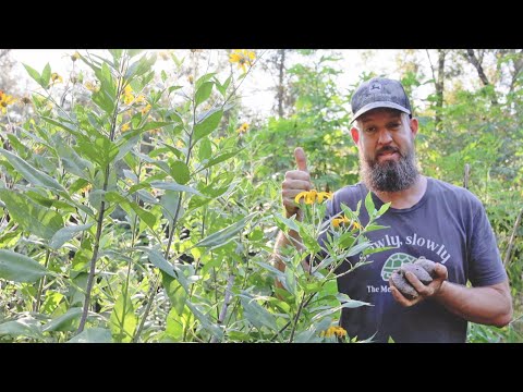 How to Grow Food the Easy Way (HINT: it's NOT a gardening method!)