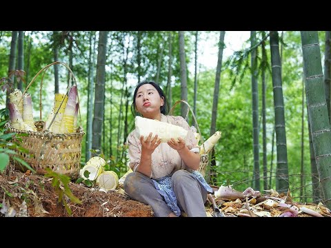 (Spring bamboo shoot feast)春筍聞春雷而動,濯春雨而發,清香鮮美,是大自然送給春天的禮物【乡愁沈丹 Shen Dan】