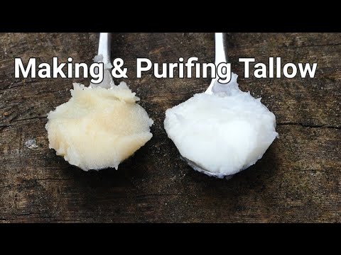Making and Purifying Tallow