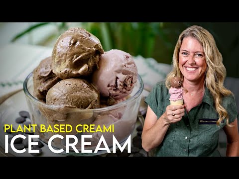 Two Healthy Plant-Based Häagen-Dazs Style Ice Creams 🤯 How can it be?