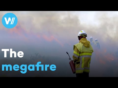 Megafires, natural disasters of extreme intensity and consequences | The Big Burn (full documentary)