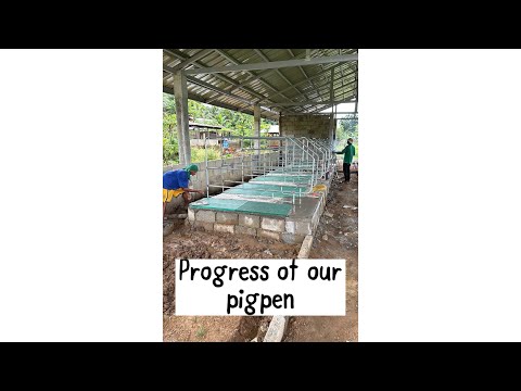 Pigpen Update 🐷 | Checking Our Farm Progress Step by Step