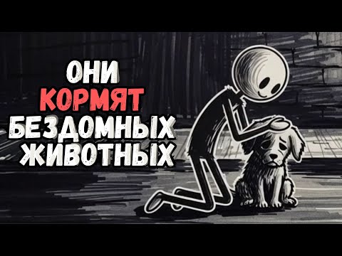 The Psychology of People Who Feed Homeless Animals: 5 Rare Traits