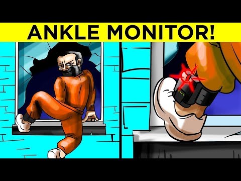 When Dumb Criminals Think They Can Outsmart The Law