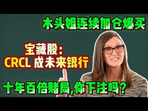 华尔街几乎一致看空CRCL，她却持续重仓，这到底是在抄底，还是在押未来美元体系崩塌重建 #CRCL #Circle #稳定币 #AI金融