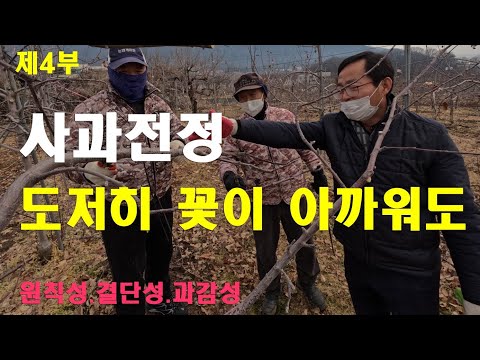 [사과전정 제4부] 도저히 꽃 때문에 마음 흔들리다.