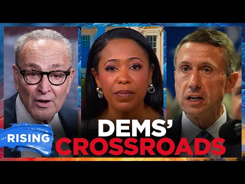 Voters, Donors DISILLUSIONED With Dem Message, Should UNITE Against TRUMP: Lindsey Granger | RISING