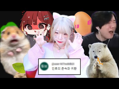 존속행동 새봄추에 경악하는 띵타이쿤