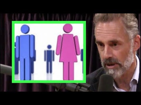 Jordan Peterson Explains the Gender Paradox - Joe Rogan