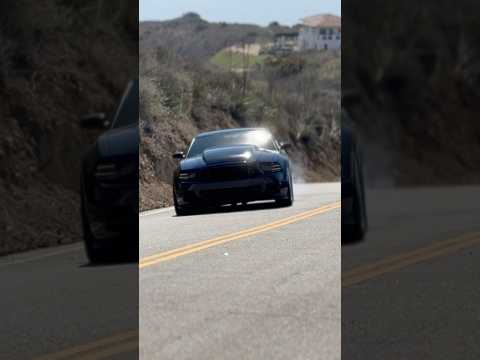 Supercharged Mustang Burnout 💨 #supercharged #mustang #fordmustang #ford #fordperformance