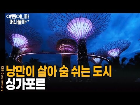 [여름휴가 어디가지?🏖️] 낭만이 살아 숨 쉬는 도시 국가, 싱가포르에 가다 | KBS 20241022 방송