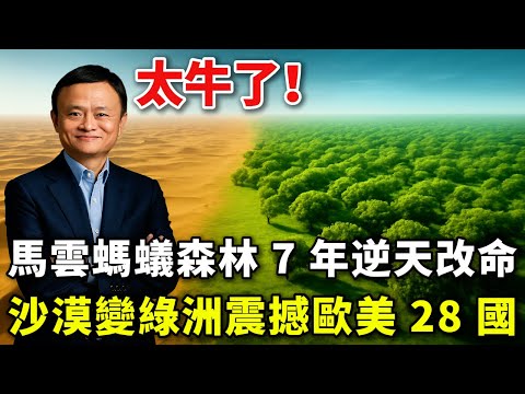 4 億棵樹！馬雲螞蟻森林 7 年逆天改命，沙漠變綠洲震撼歐美 28 國，聯合國都頒獎了！