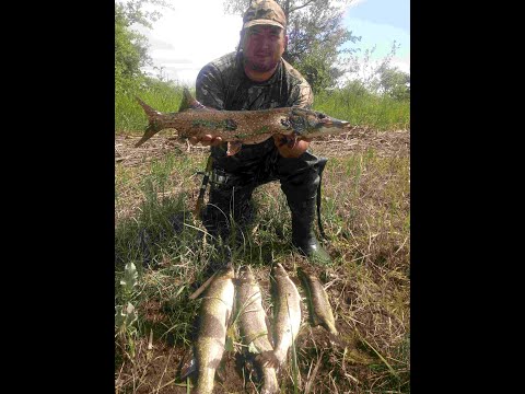 Изготовление перемёта на щуку