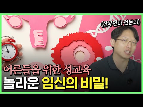 How to Get Pregnant: What They Don't Teach You in School