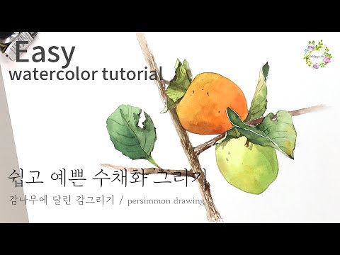Watercolor illustration: Drawing persimmons on a persimmon tree - Easy and pretty watercolor 16_e...