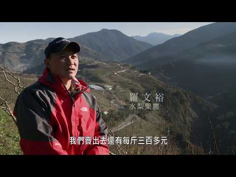 《結果了》EP08：梨農的固執