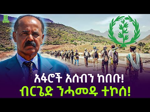 አሰብ ተከበበች | አፋሮችና ብርጌድ ንሃመዱ ተጣመሩ Salon Terek