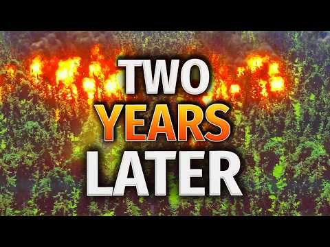 Cities Skylines 2 - Two Years Later...