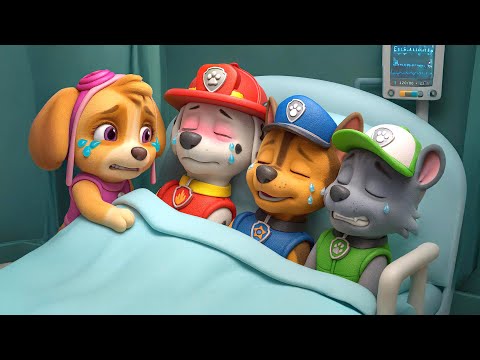 PAW Patrol Please Wake Up Them , SKYE is So SAD | PAW Patrol Ultimate Rescue | Rainbow 3