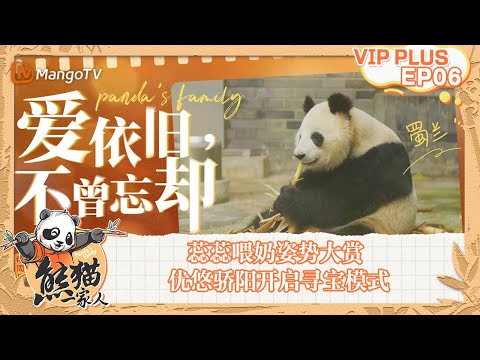 FULL｜蕊蕊喂奶姿势大赏 优悠骄阳开启寻宝模式｜《熊猫一家人Panda‘s Family》｜EXTRA 06｜MangoTV